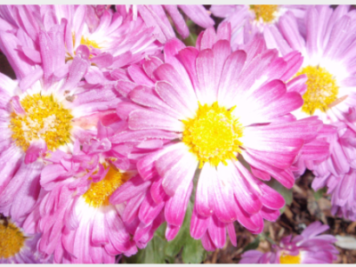 CRANIOSACRAL THERAPY: A TOUCH&nbsp;MODALITY